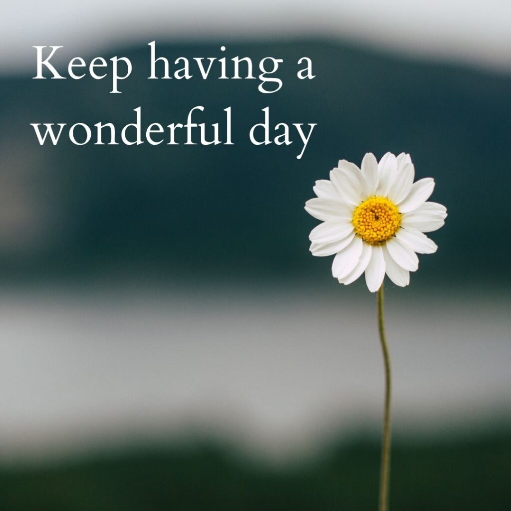 Keep having a wonderful day