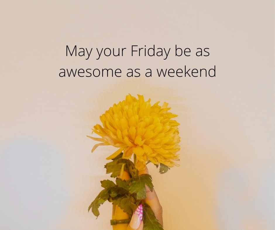 May your Friday be as awesome as a weekend