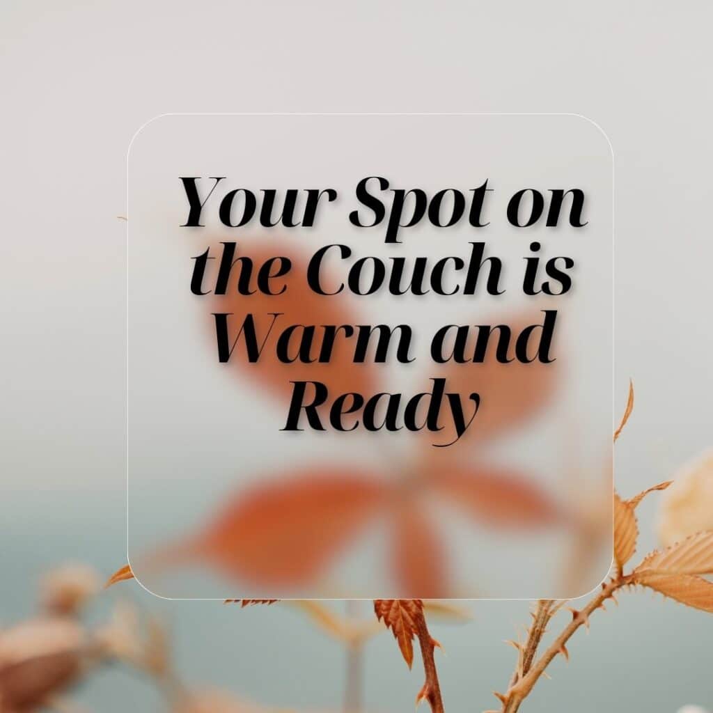 Your Spot on the Couch is Warm and Ready