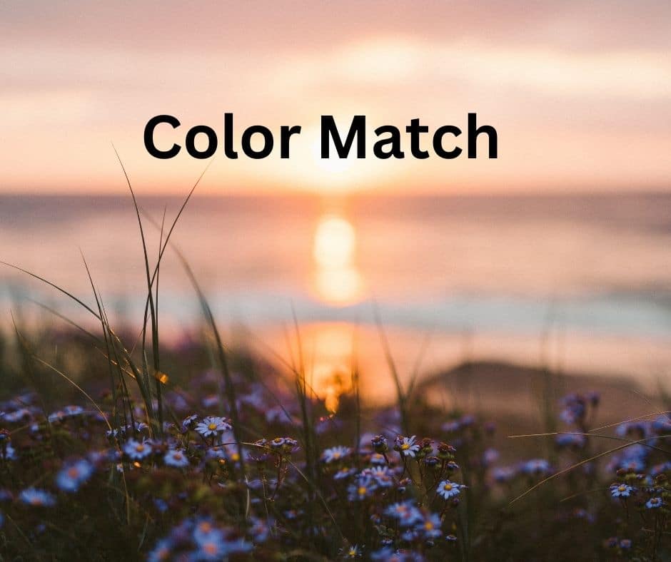 Color Match