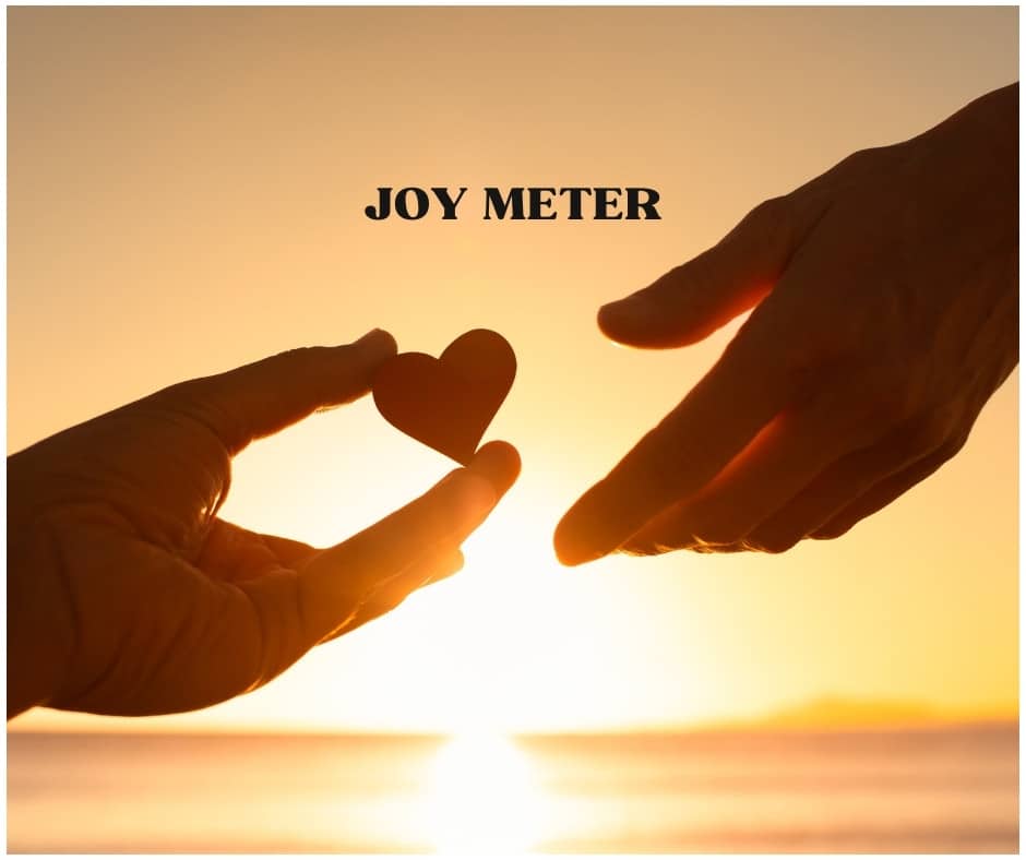 Joy Meter