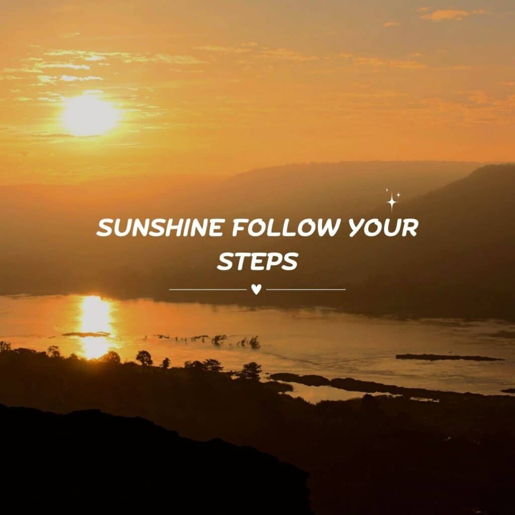 Sunshine Follow Your Steps